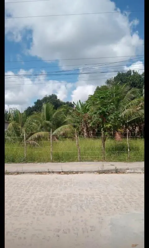 Terreno à venda de 1 ha em Amélia Rodrigues, BA, Brasil