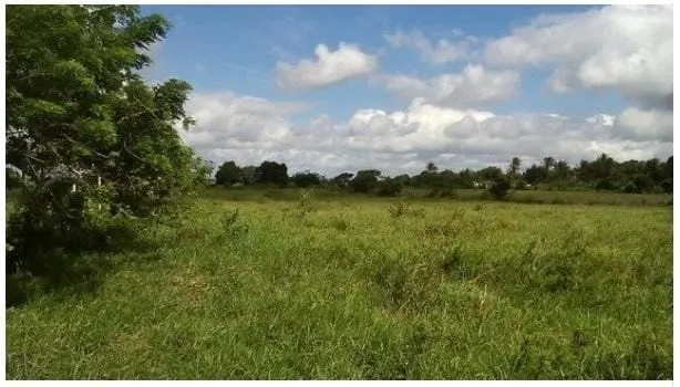 Plot for sale of 3 acres in Amélia Rodrigues, BA, Brazil