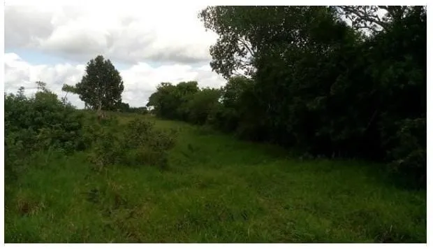 Plot for sale of 3 acres in Amélia Rodrigues, BA, Brazil