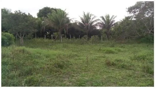 Plot for sale of 3 acres in Amélia Rodrigues, BA, Brazil