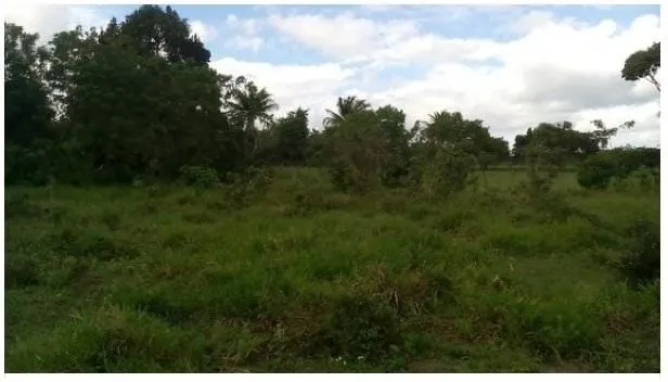 Plot for sale of 3 acres in Amélia Rodrigues, BA, Brazil