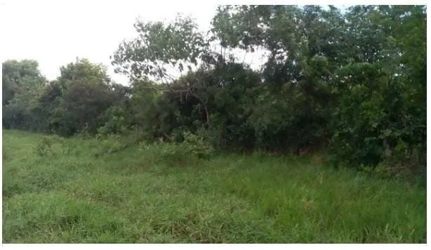 Plot for sale of 3 acres in Amélia Rodrigues, BA, Brazil