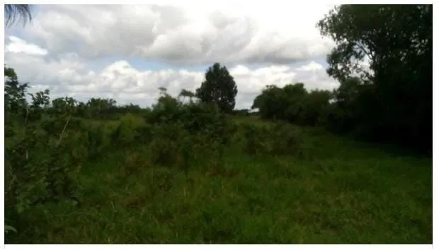 Plot for sale of 3 acres in Amélia Rodrigues, BA, Brazil
