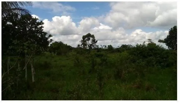 Plot for sale of 3 acres in Amélia Rodrigues, BA, Brazil