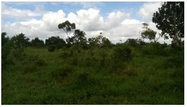 Plot for sale of 3 acres in Amélia Rodrigues, BA, Brazil
