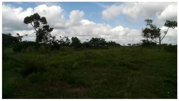 Plot for sale of 3 acres in Amélia Rodrigues, BA, Brazil