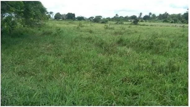 Plot for sale of 3 acres in Amélia Rodrigues, BA, Brazil