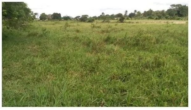 Plot for sale of 3 acres in Amélia Rodrigues, BA, Brazil
