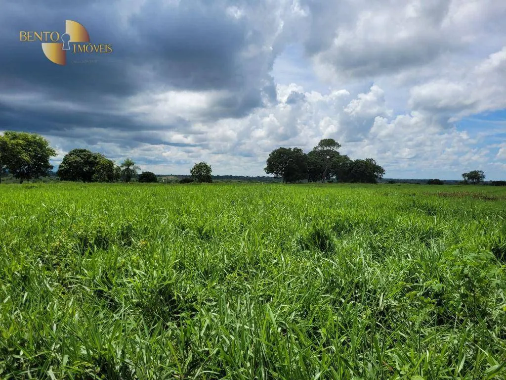 Fazenda à venda de 1.488 ha em Cuiabá, MT, Brasil