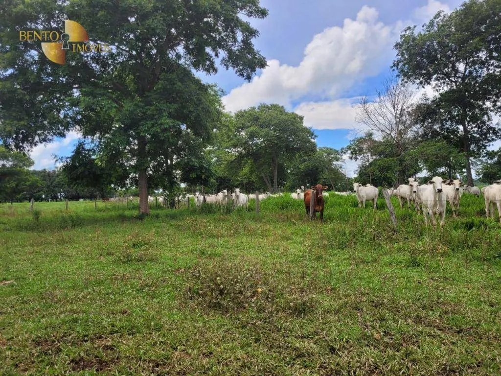 Fazenda à venda de 1.488 ha em Cuiabá, MT, Brasil
