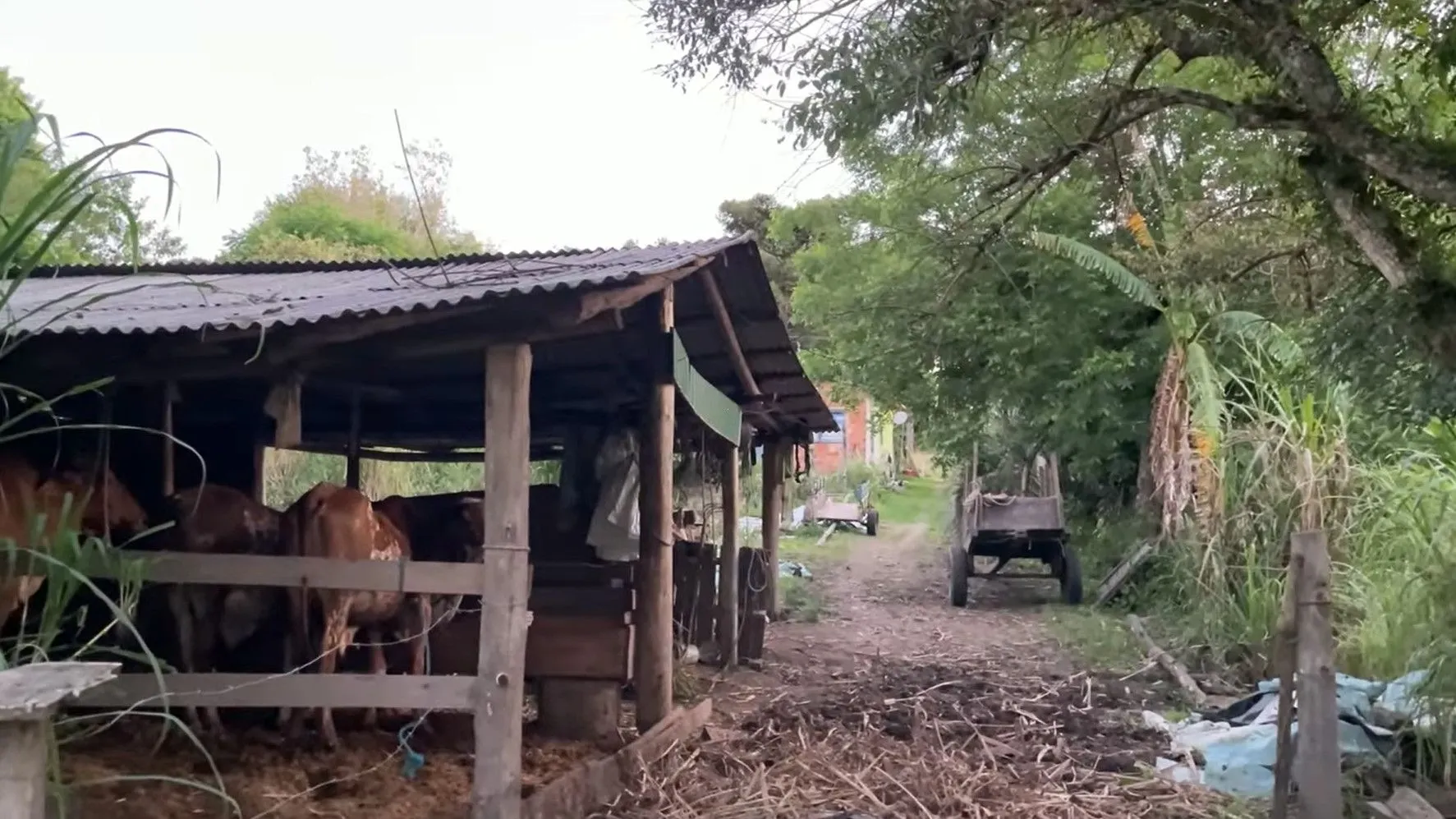 Country home for sale of 4 acres in Santo Antônio da Patrulha, RS, Brazil