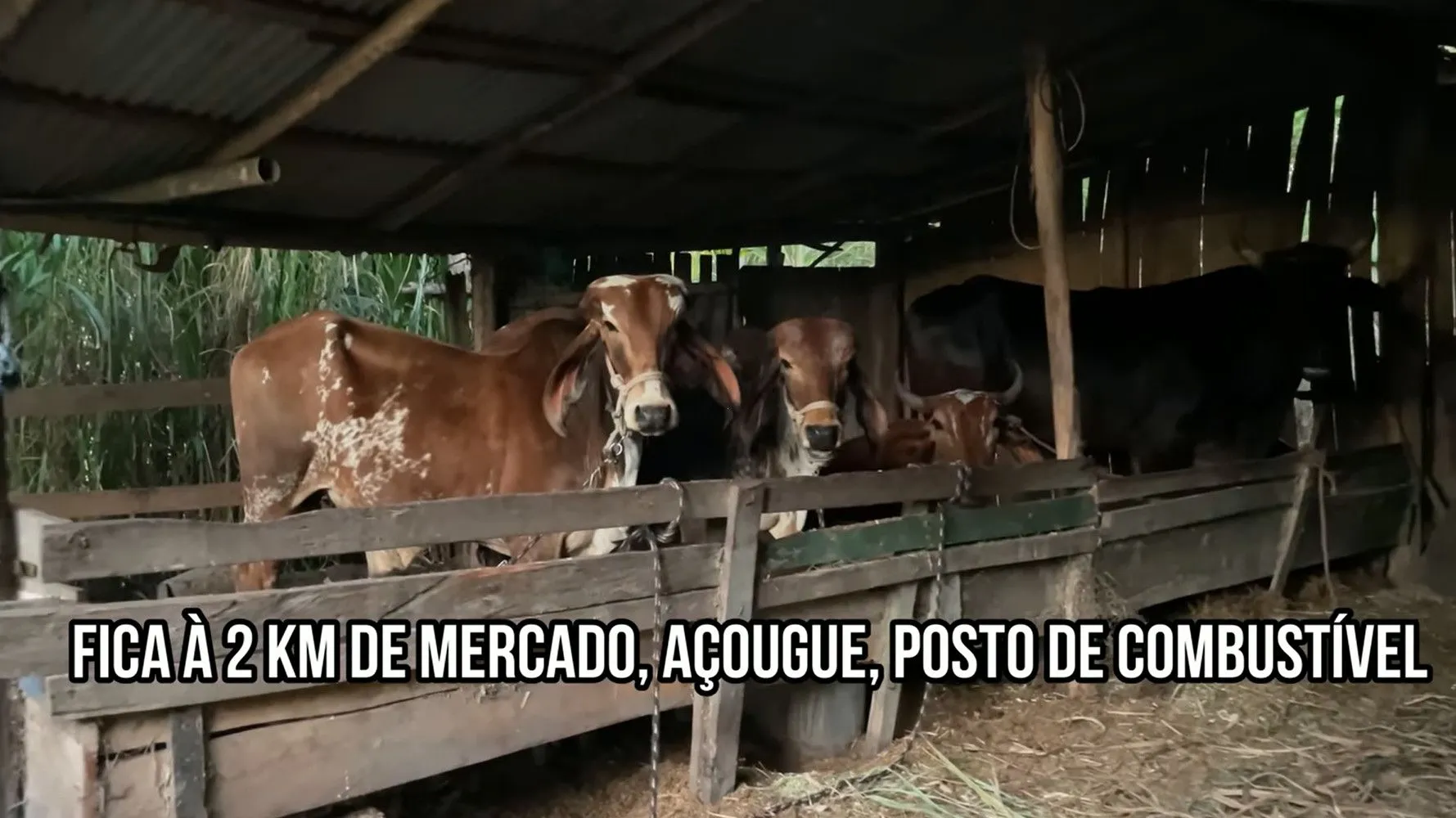 Country home for sale of 4 acres in Santo Antônio da Patrulha, RS, Brazil