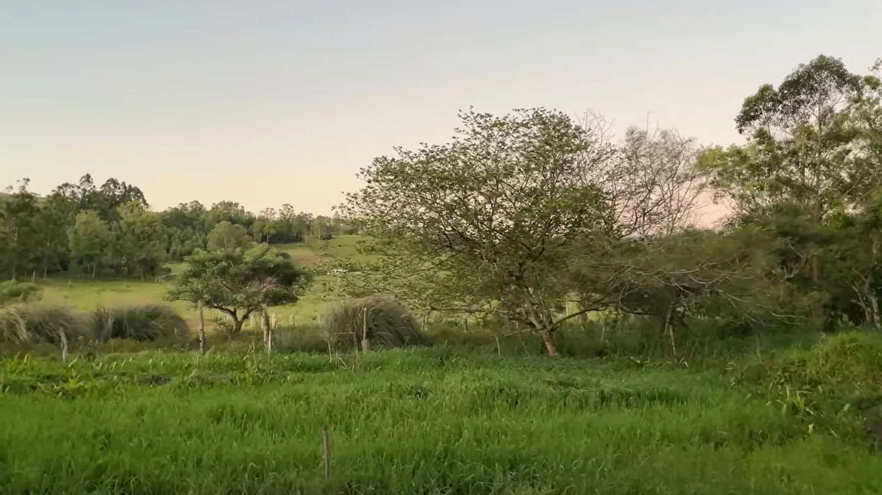 Country home for sale of 4 acres in Santo Antônio da Patrulha, RS, Brazil