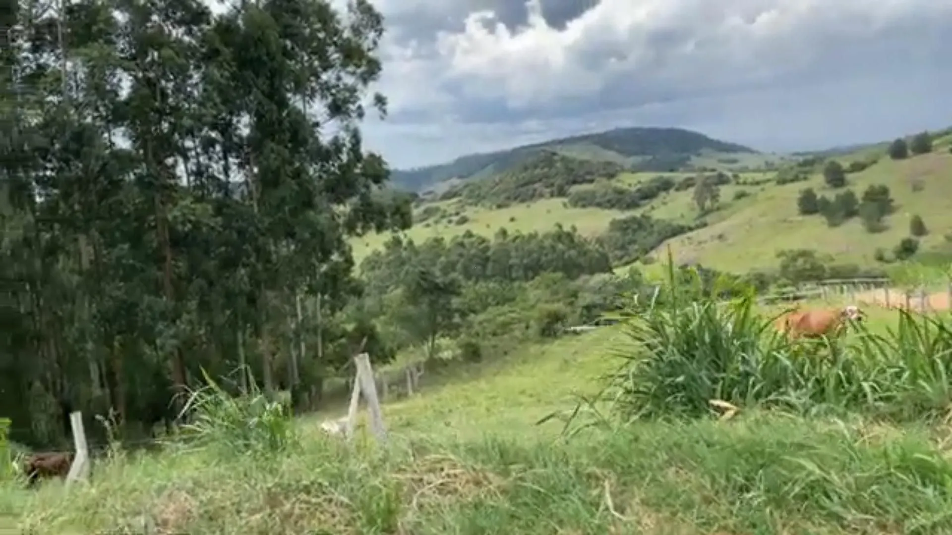 Chácara à venda de 5.800 m² em Taquara, RS, Brasil