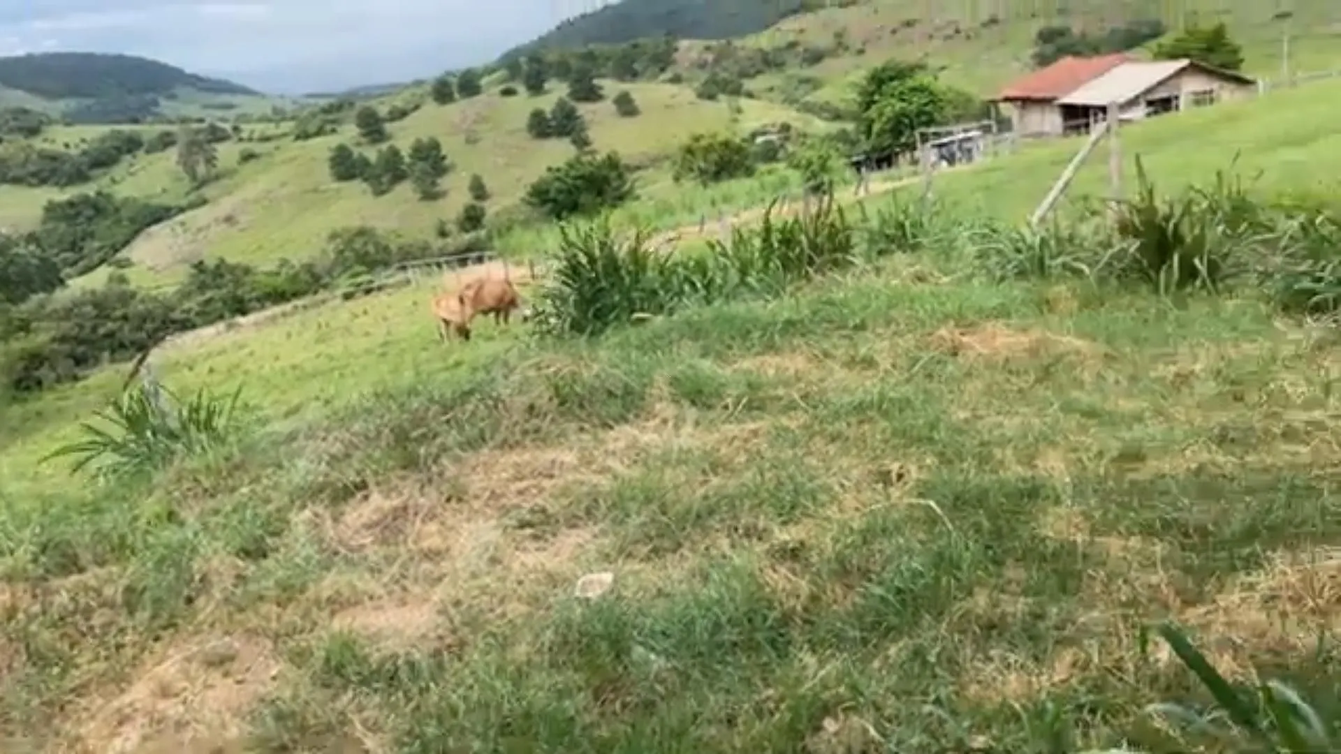 Chácara à venda de 5.800 m² em Taquara, RS, Brasil