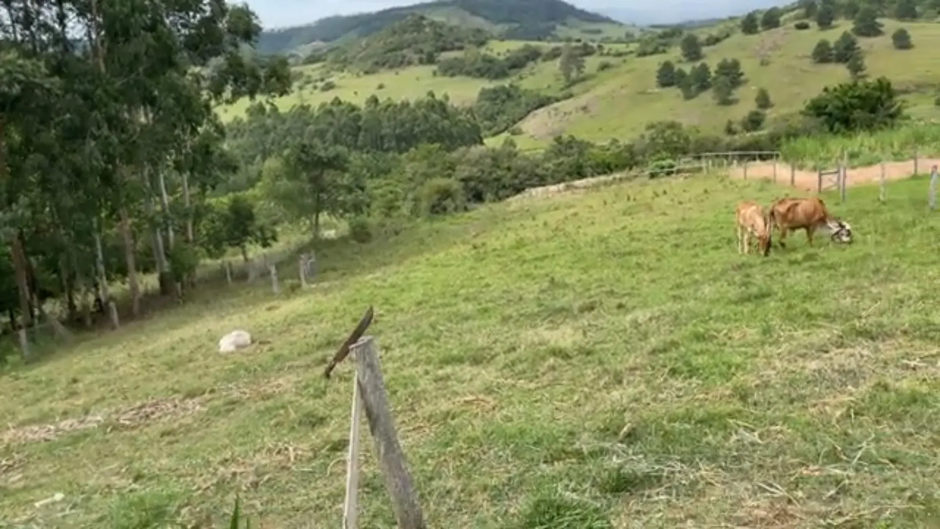 Chácara à venda de 5.800 m² em Taquara, RS, Brasil