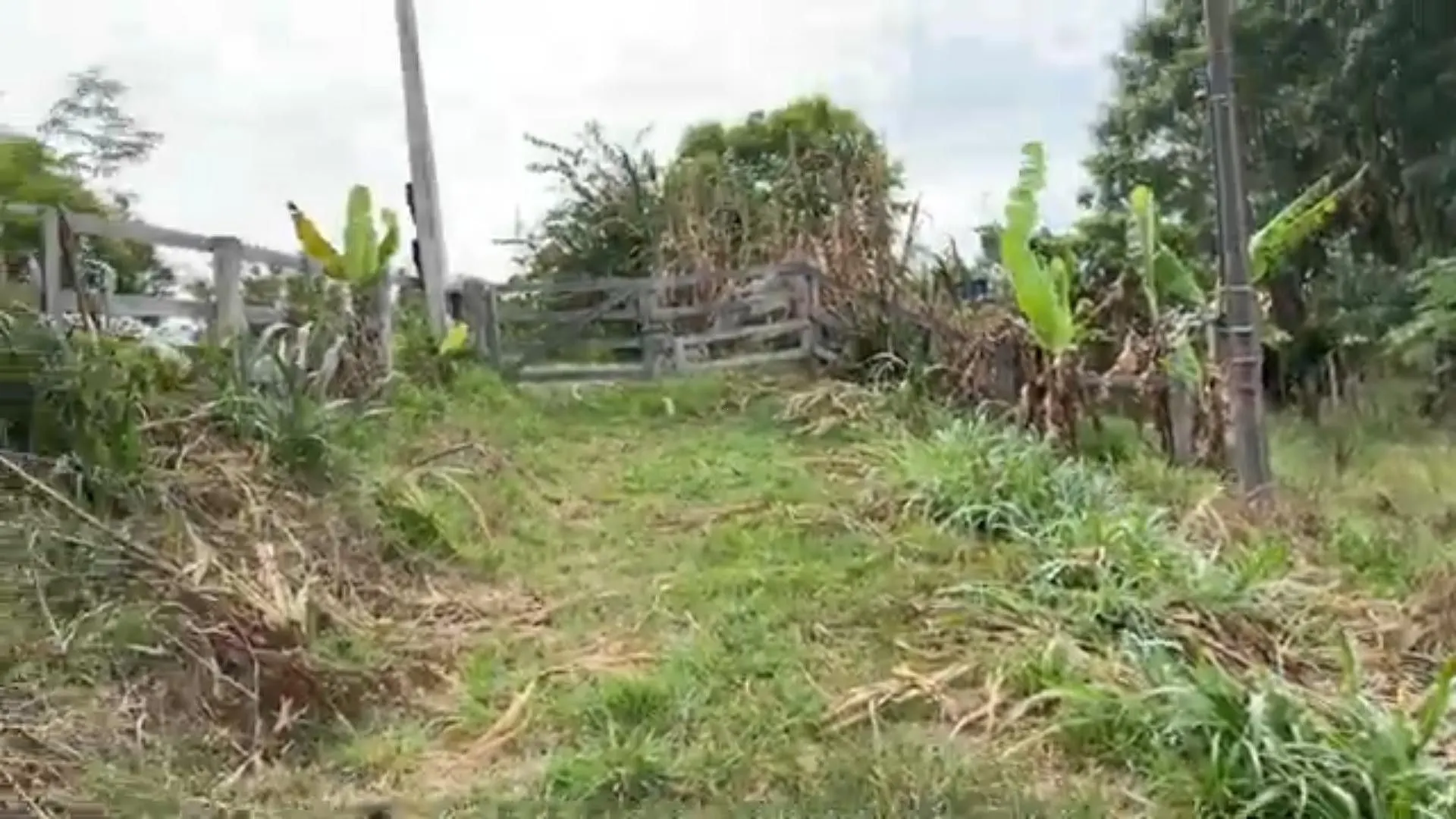 Chácara à venda de 5.800 m² em Taquara, RS, Brasil