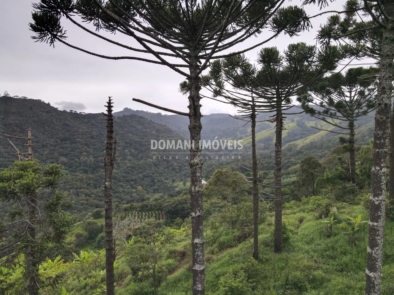 Plot for sale of 1 acres in Campos do Jordão, SP, Brazil