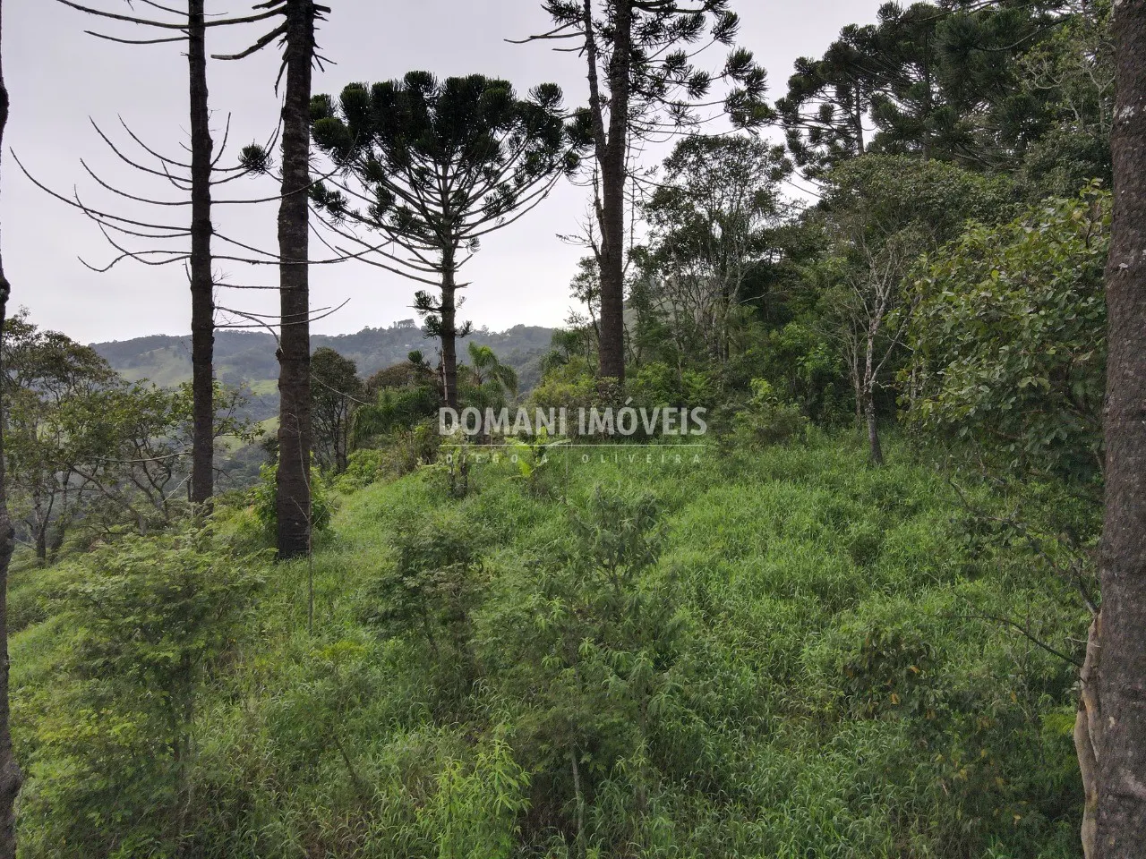 Plot for sale of 1 acres in Campos do Jordão, SP, Brazil