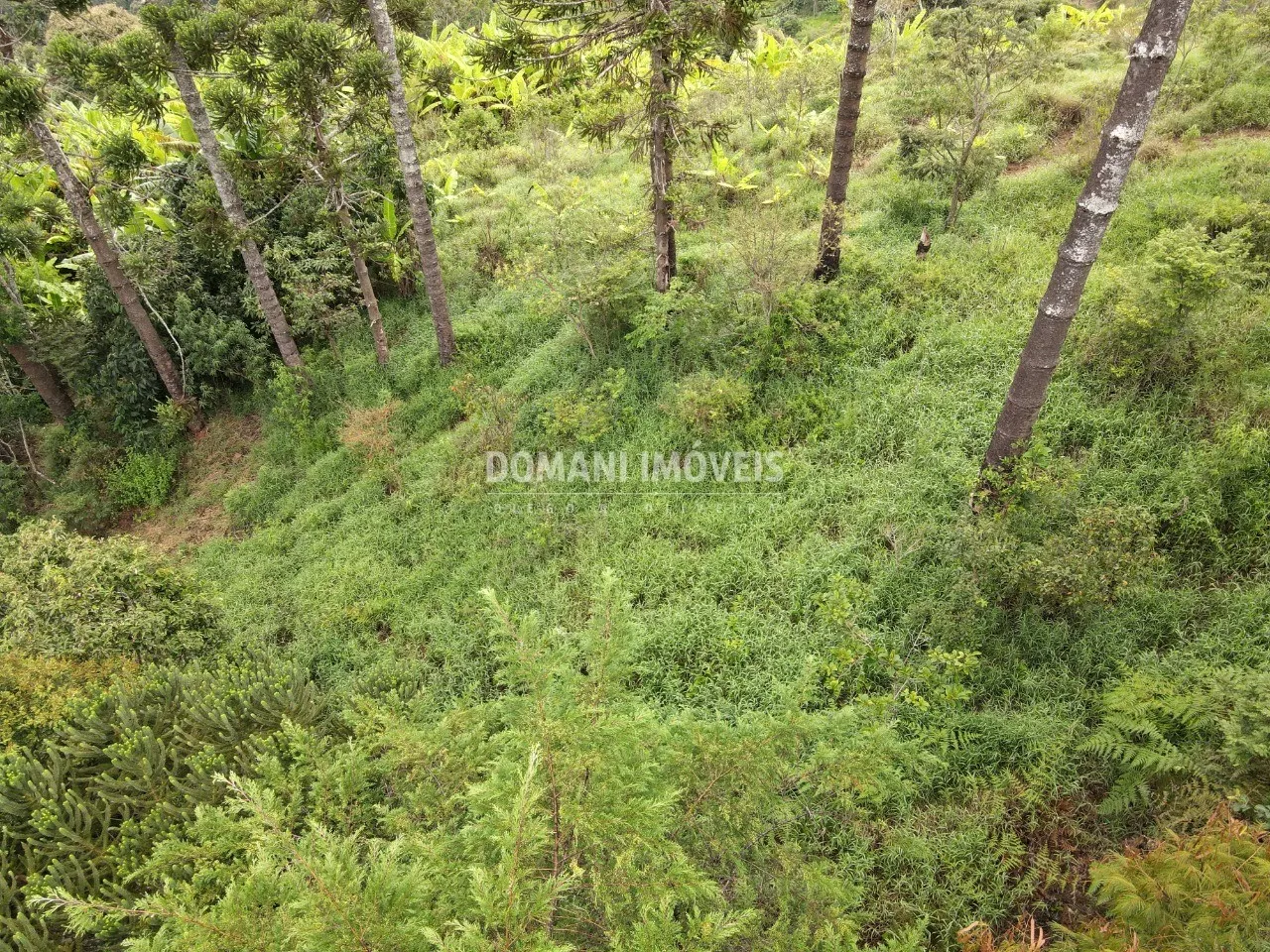 Plot for sale of 1 acres in Campos do Jordão, SP, Brazil