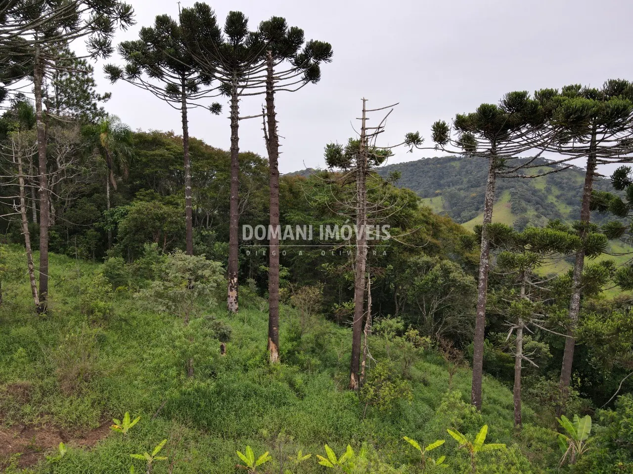 Plot for sale of 1 acres in Campos do Jordão, SP, Brazil