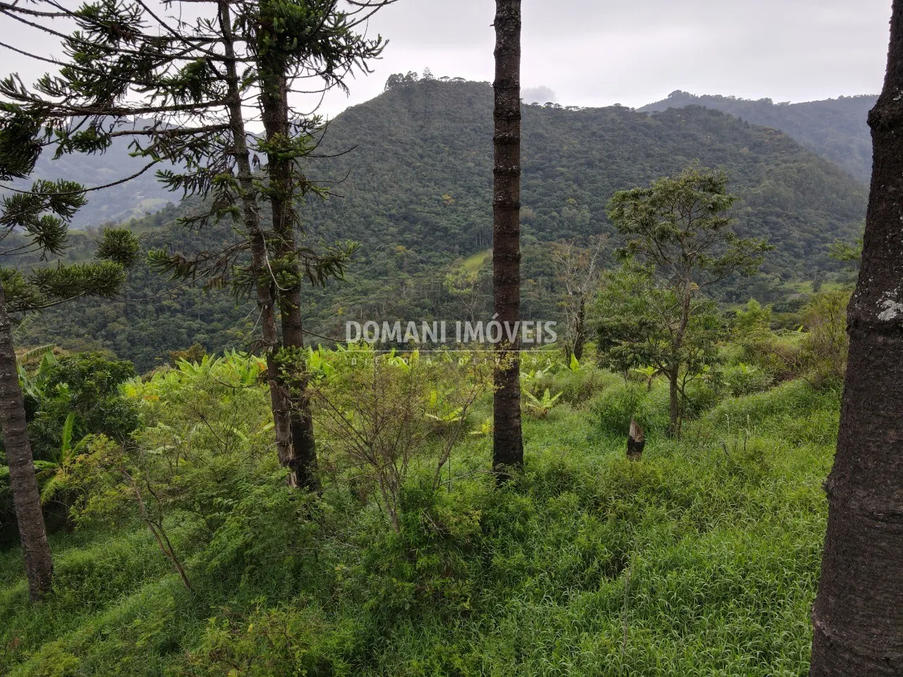 Plot for sale of 1 acres in Campos do Jordão, SP, Brazil