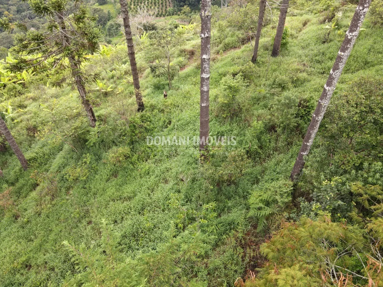 Plot for sale of 1 acres in Campos do Jordão, SP, Brazil