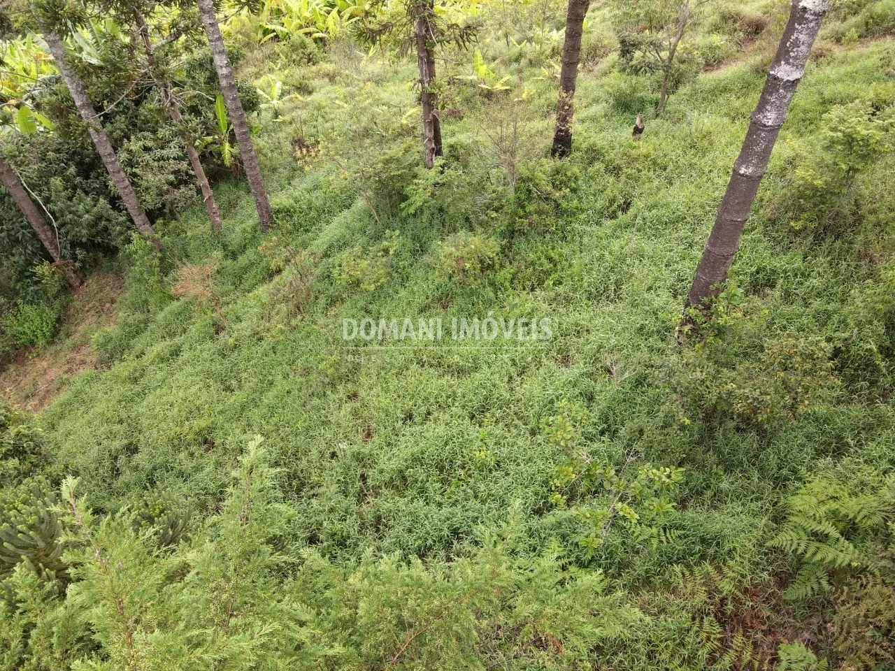 Plot for sale of 1 acres in Campos do Jordão, SP, Brazil