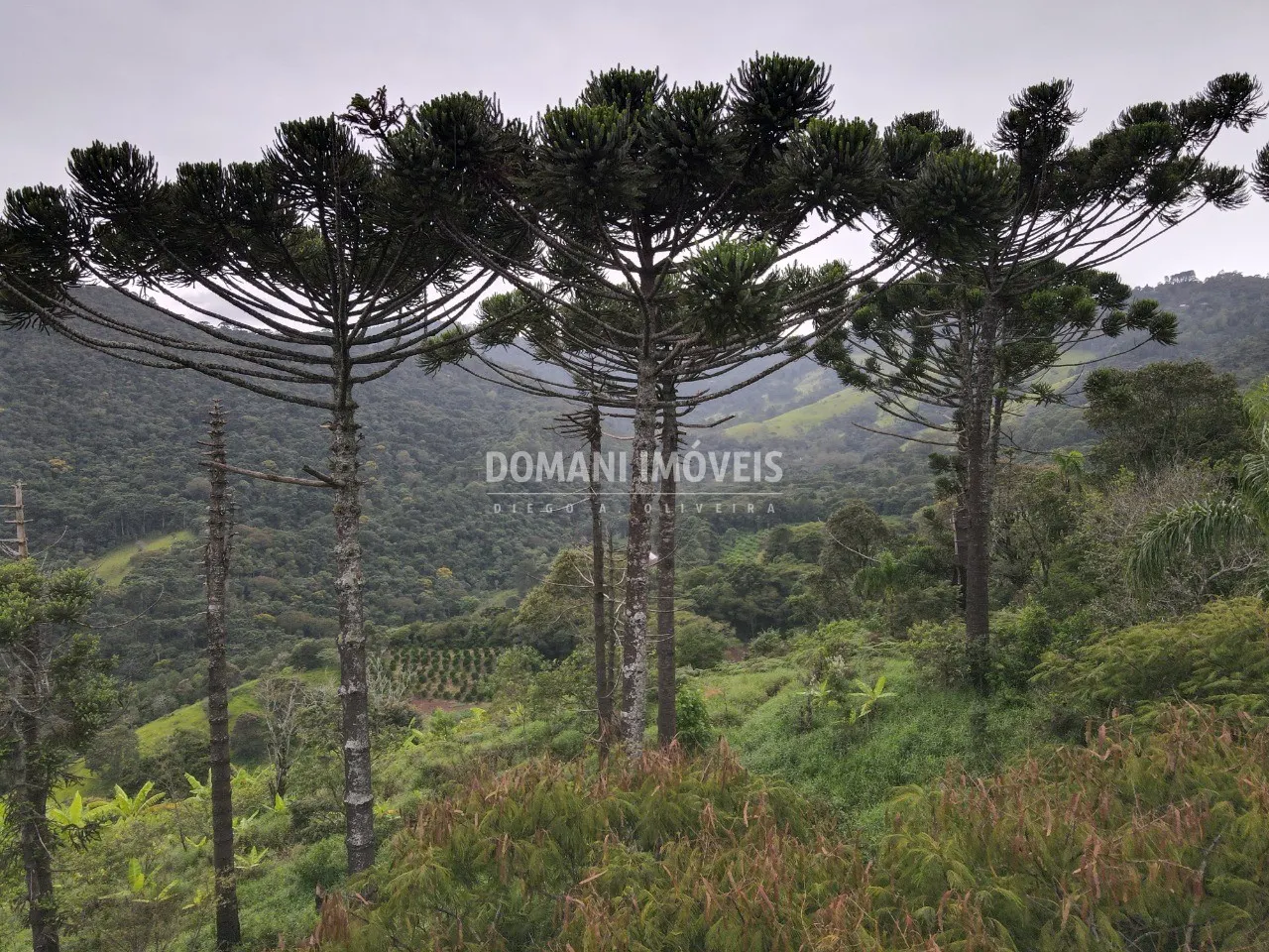 Plot for sale of 1 acres in Campos do Jordão, SP, Brazil