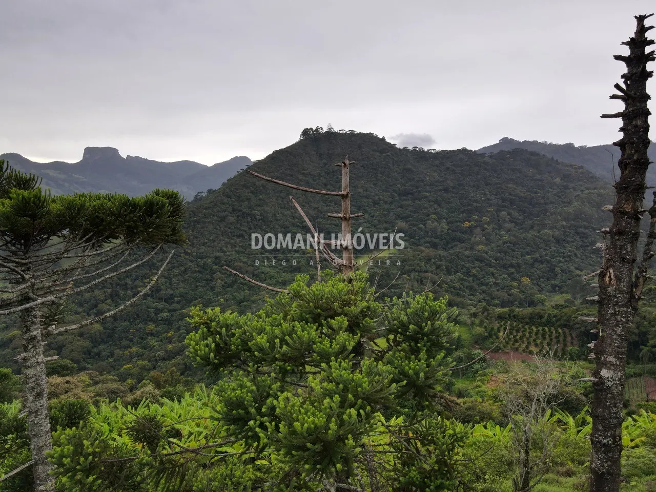 Plot for sale of 1 acres in Campos do Jordão, SP, Brazil