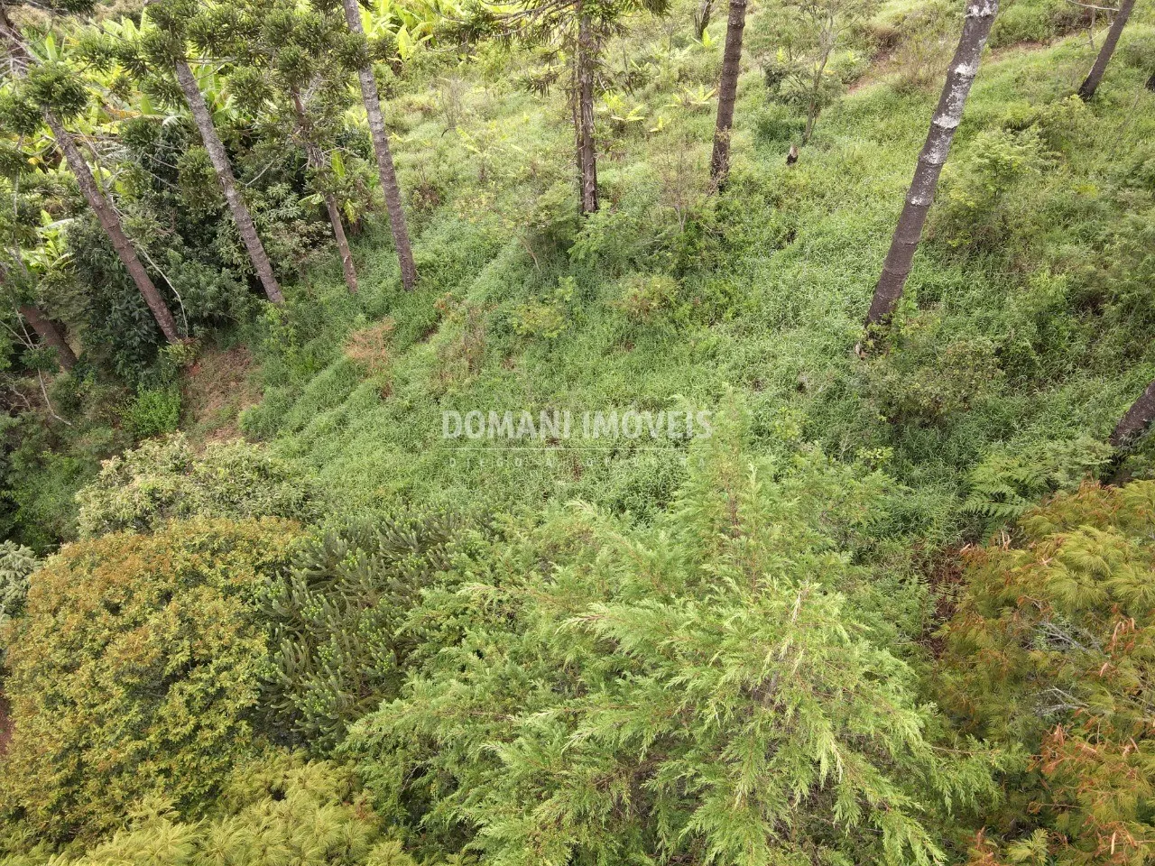 Plot for sale of 1 acres in Campos do Jordão, SP, Brazil