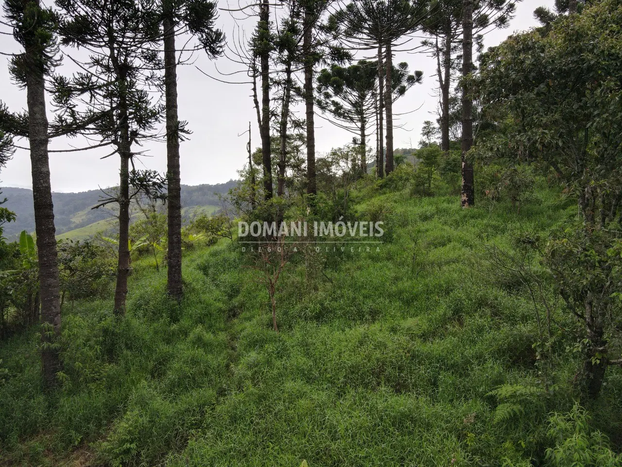 Plot for sale of 1 acres in Campos do Jordão, SP, Brazil