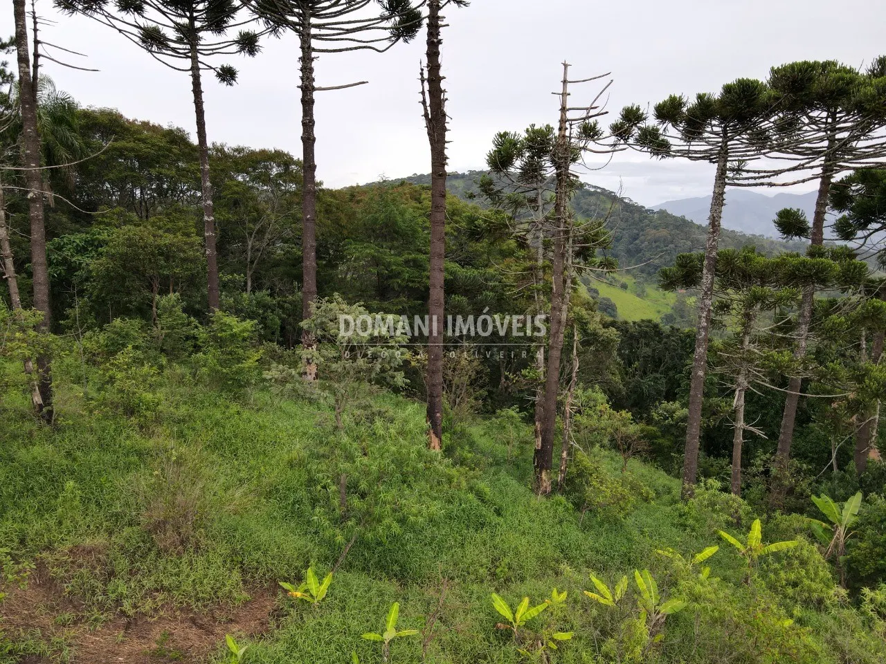 Plot for sale of 1 acres in Campos do Jordão, SP, Brazil