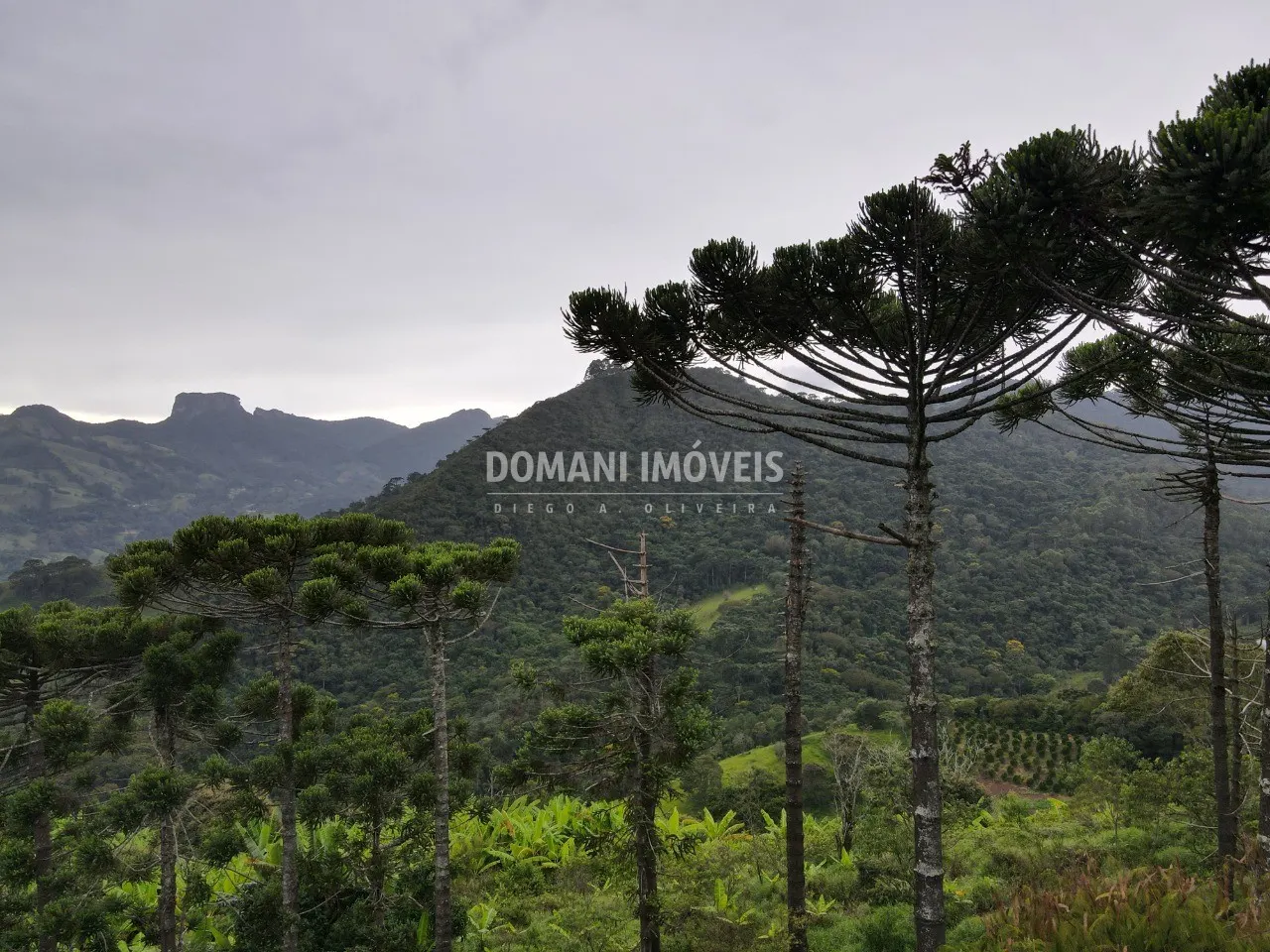 Plot for sale of 1 acres in Campos do Jordão, SP, Brazil