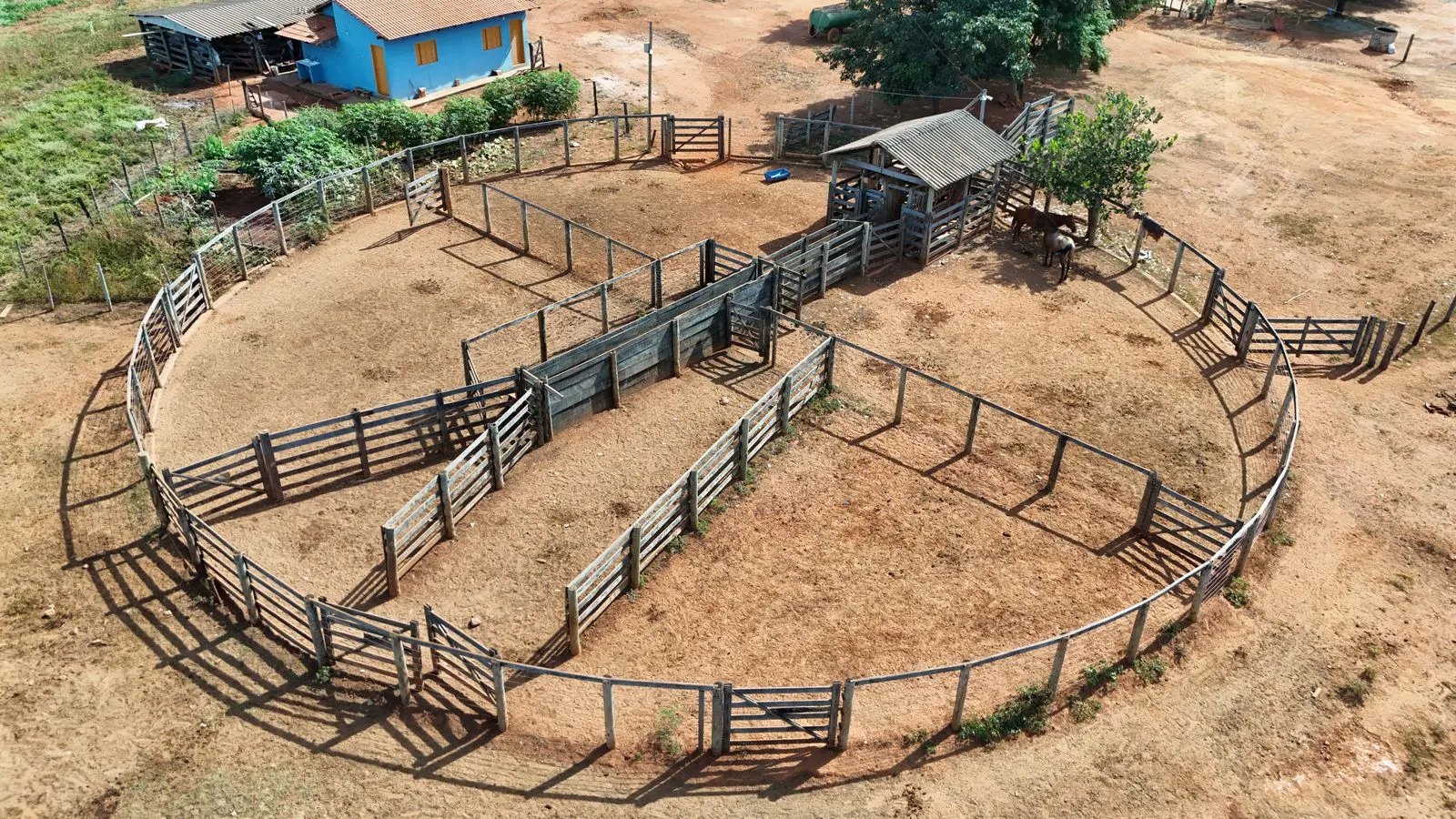 Fazenda à venda de 530 ha em João Pinheiro, MG, Brasil