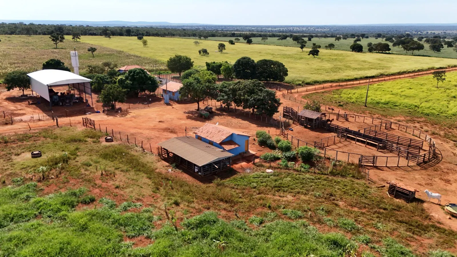Fazenda à venda de 530 ha em João Pinheiro, MG, Brasil