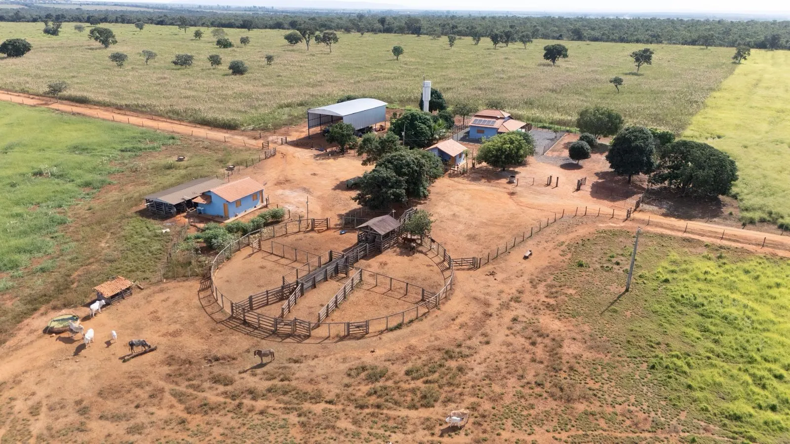 Fazenda à venda de 530 ha em João Pinheiro, MG, Brasil