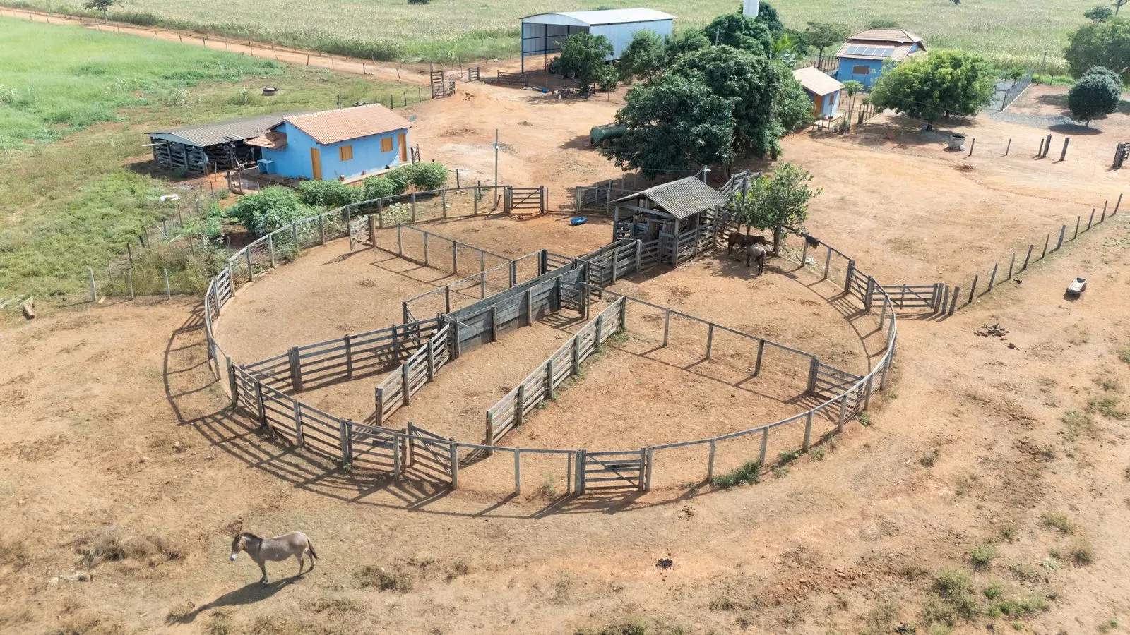 Fazenda à venda de 530 ha em João Pinheiro, MG, Brasil