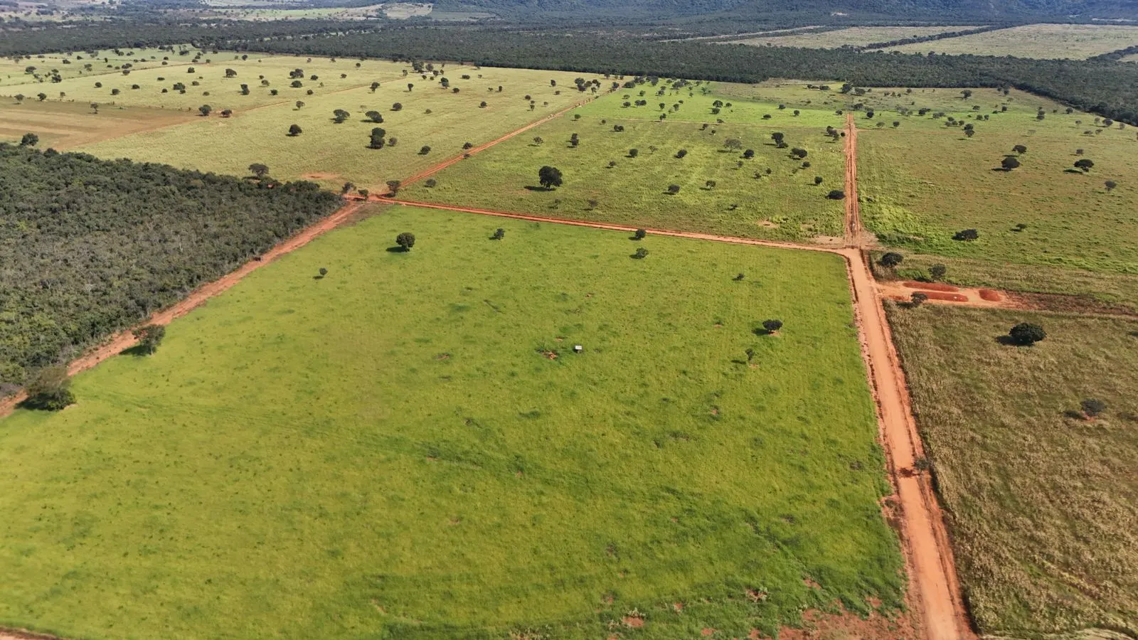 Fazenda à venda de 530 ha em João Pinheiro, MG, Brasil