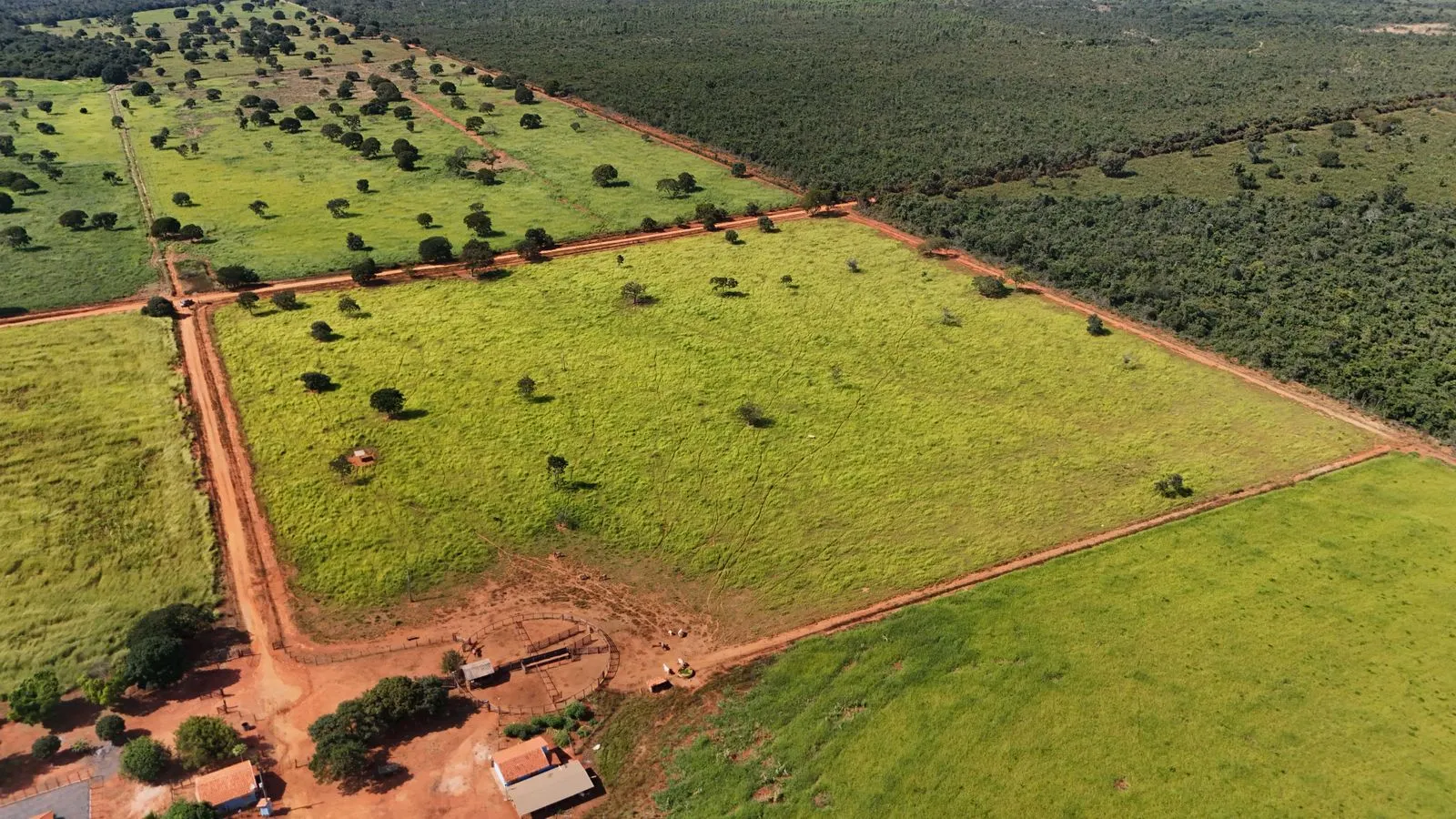 Fazenda à venda de 530 ha em João Pinheiro, MG, Brasil