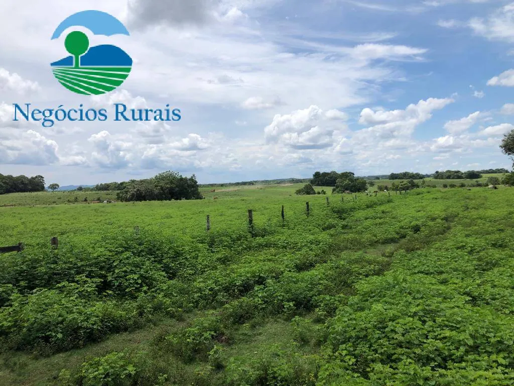 Fazenda à venda de 2.178 ha em Crixás, GO, Brasil