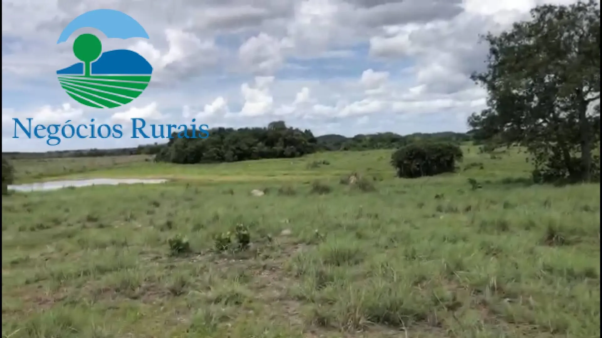 Fazenda à venda de 2.178 ha em Crixás, GO, Brasil