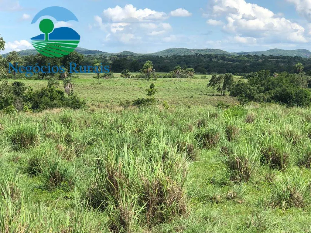Fazenda à venda de 2.178 ha em Crixás, GO, Brasil