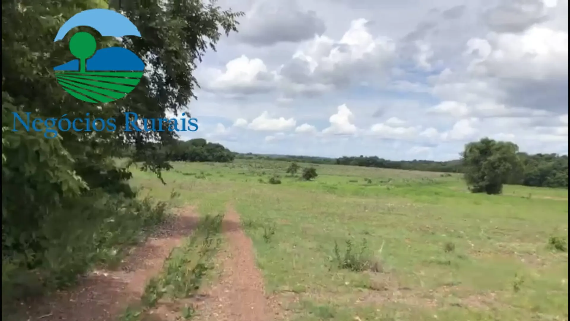 Fazenda à venda de 2.178 ha em Crixás, GO, Brasil