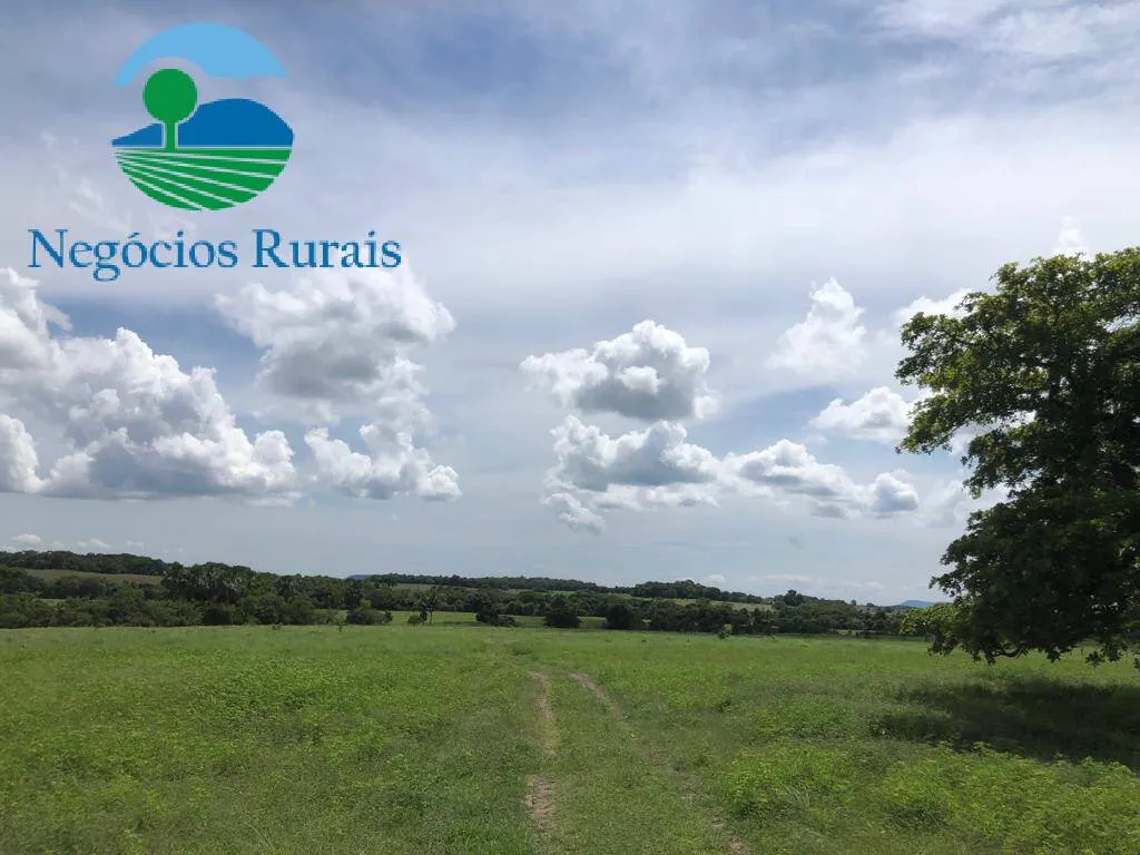 Fazenda à venda de 2.178 ha em Crixás, GO, Brasil