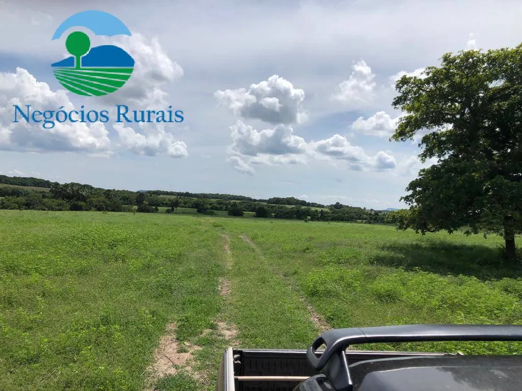 Fazenda à venda de 2.178 ha em Crixás, GO, Brasil