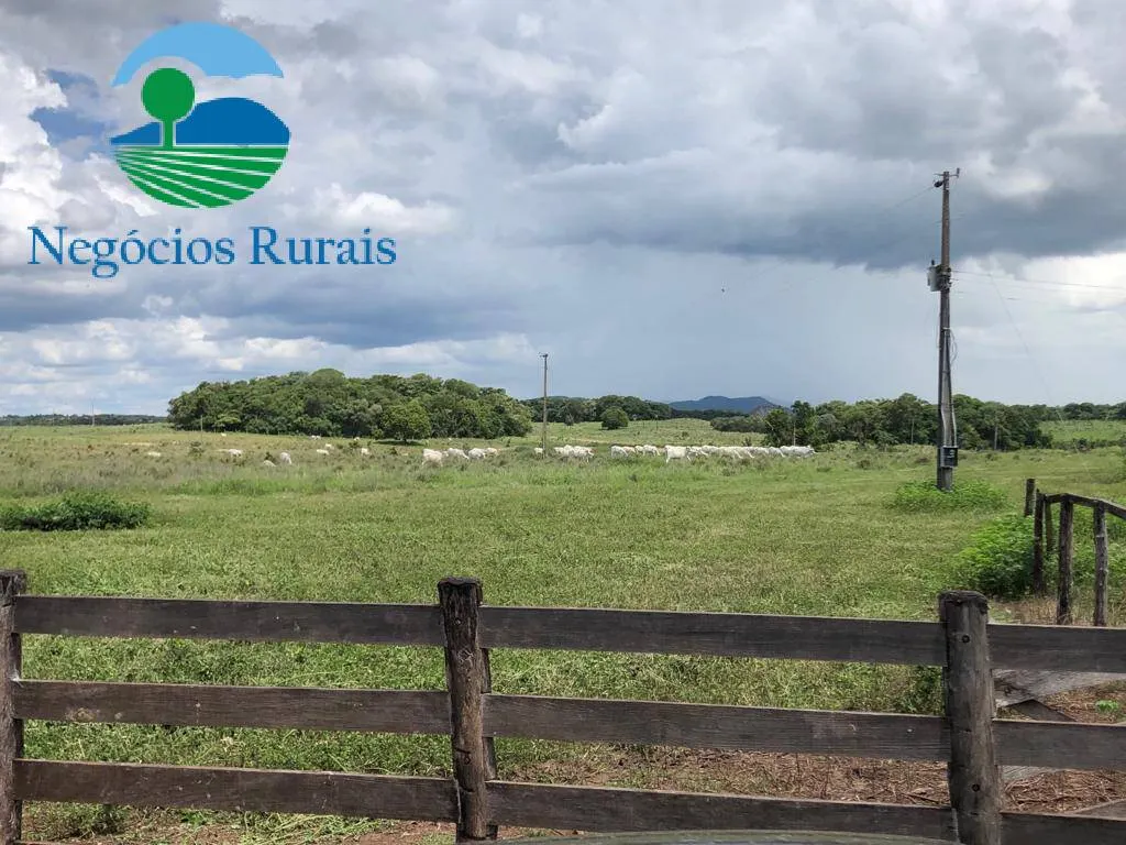 Fazenda à venda de 2.178 ha em Crixás, GO, Brasil