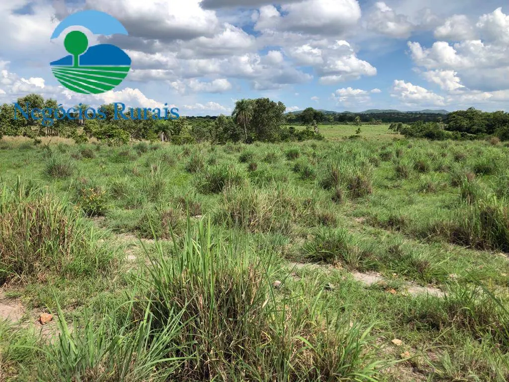 Fazenda à venda de 2.178 ha em Crixás, GO, Brasil