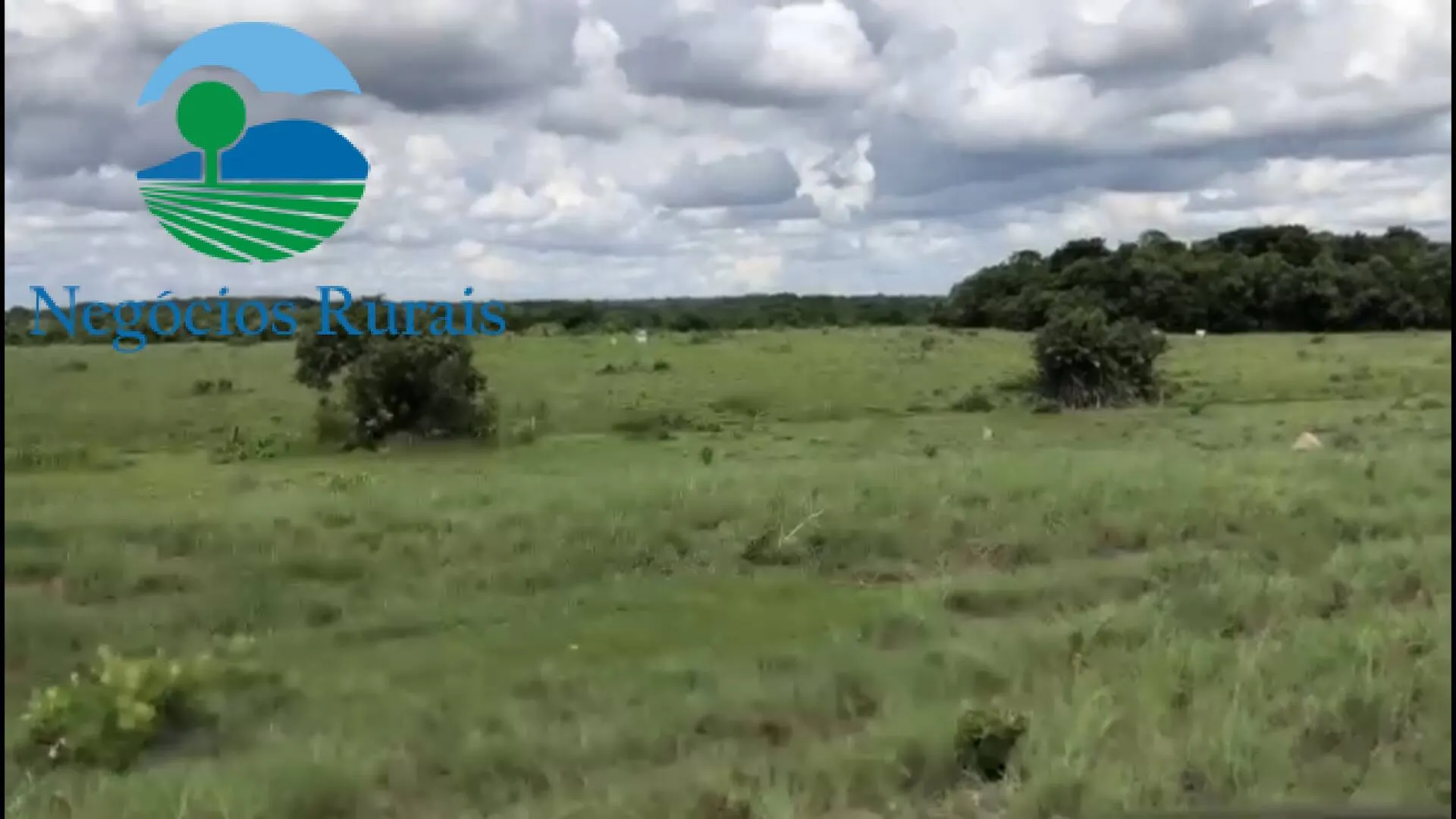 Fazenda à venda de 2.178 ha em Crixás, GO, Brasil