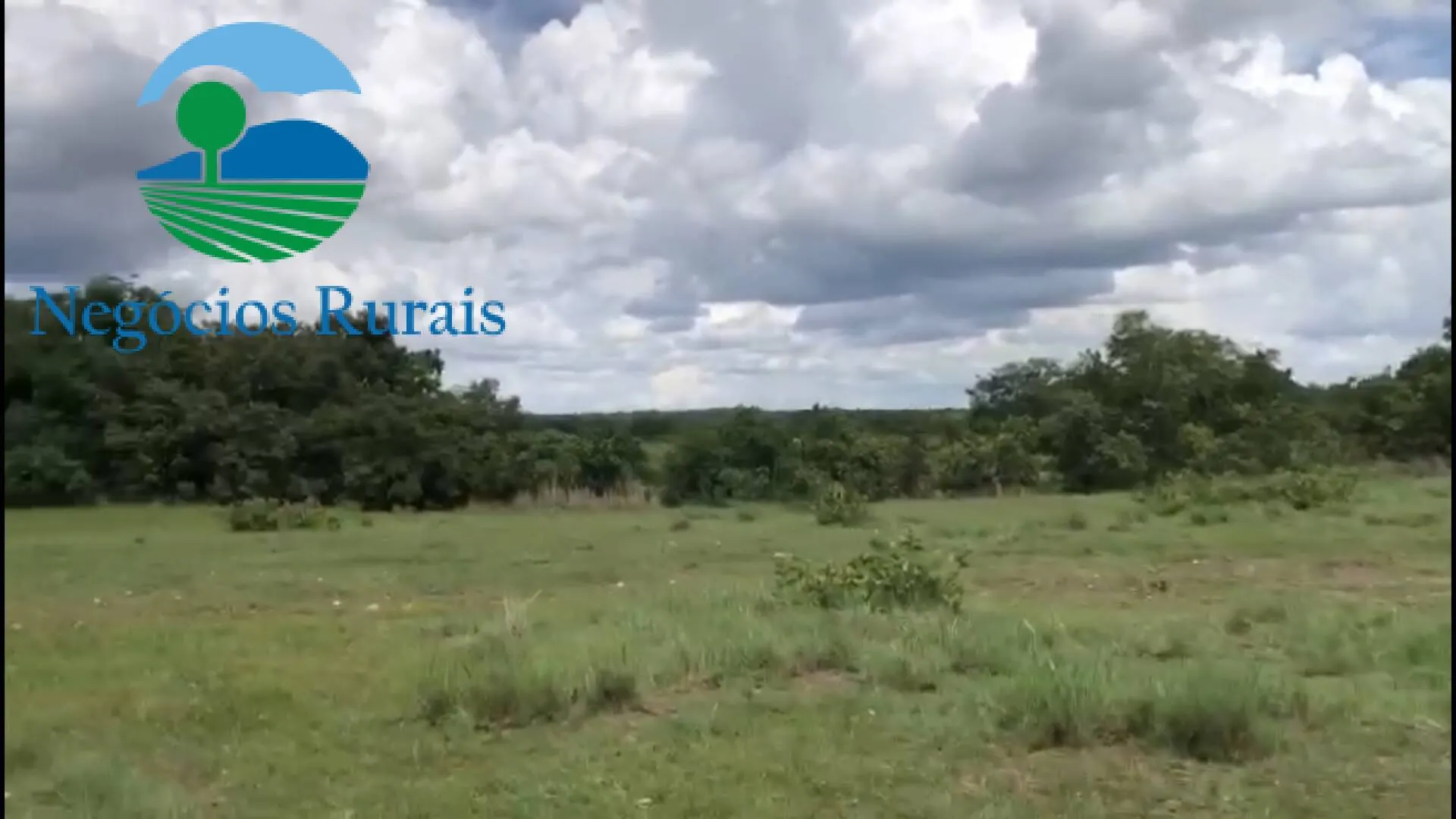 Fazenda à venda de 2.178 ha em Crixás, GO, Brasil